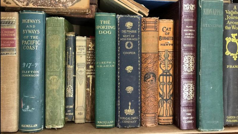 Presidents' Day Weekend 2024 Vintage Book Sale!