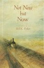 Not Now But Now book cover