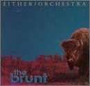 Brunt book cover
