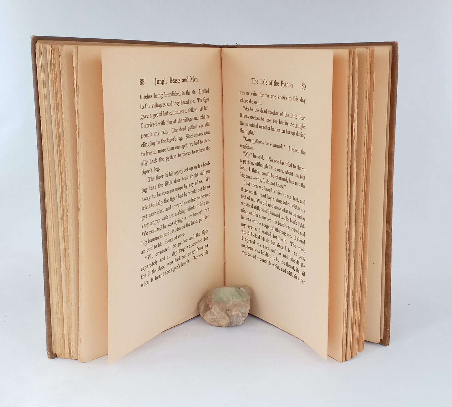 Jungle Beasts and Men book cover