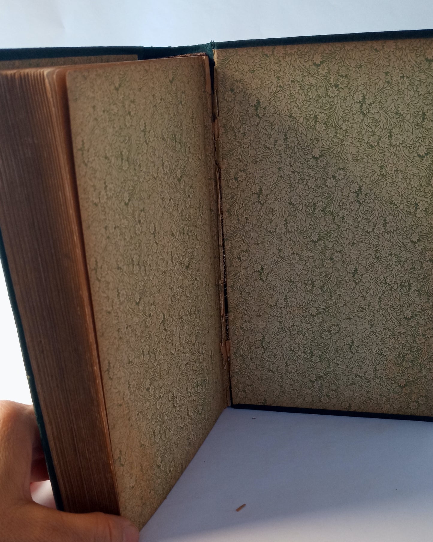 Maxims and Instructions for the Boiler Room. Useful to Engineers, Firemen & Mechanics, relating to steam generators, pumps appliances, steam heating, practical plumbing, etc. book cover