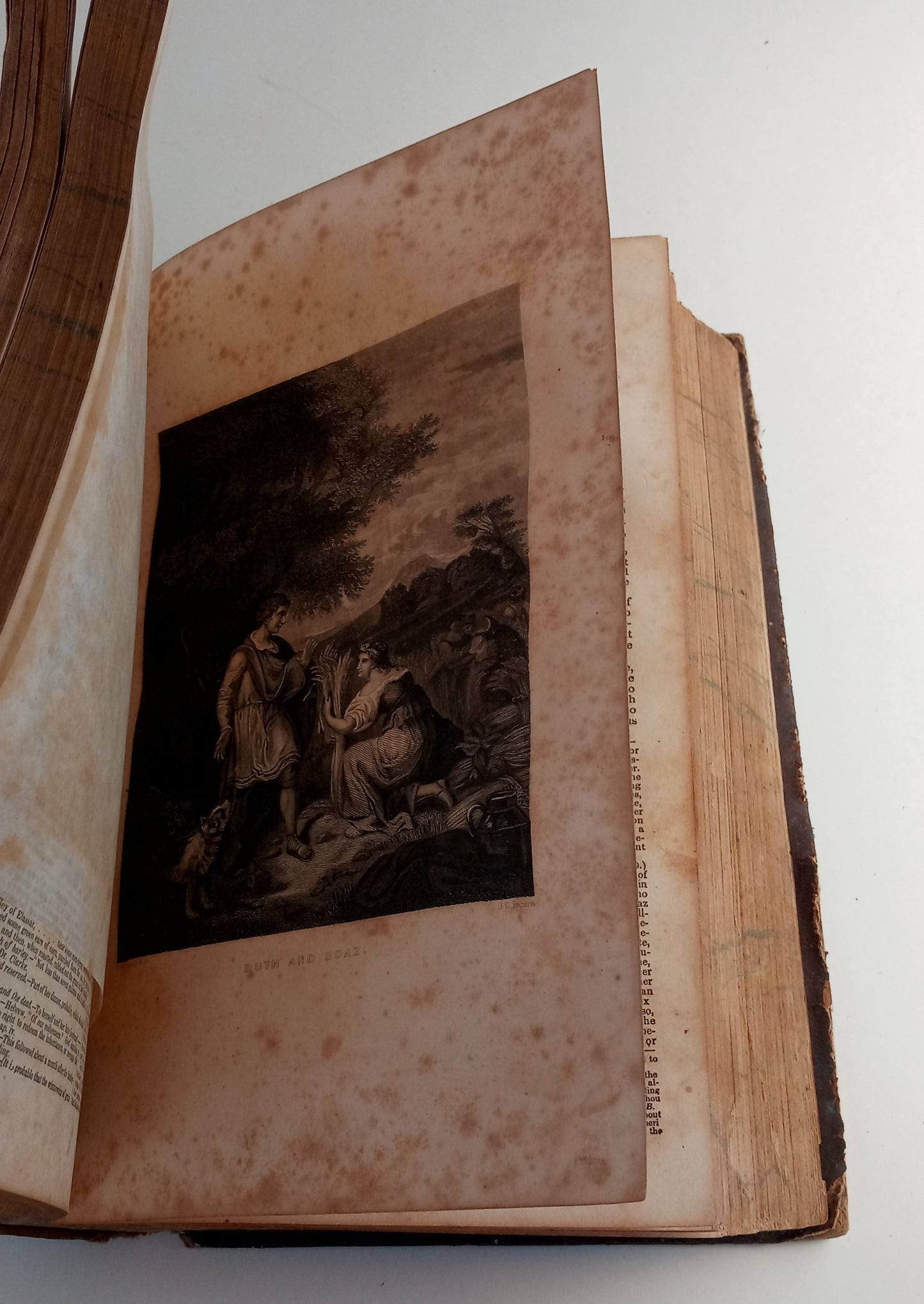 The Cottage Bible, and Family Expositor; containing the Old and New Testaments, with Practical Expositions and Explanatory Notes. Volume I ONLY. book cover