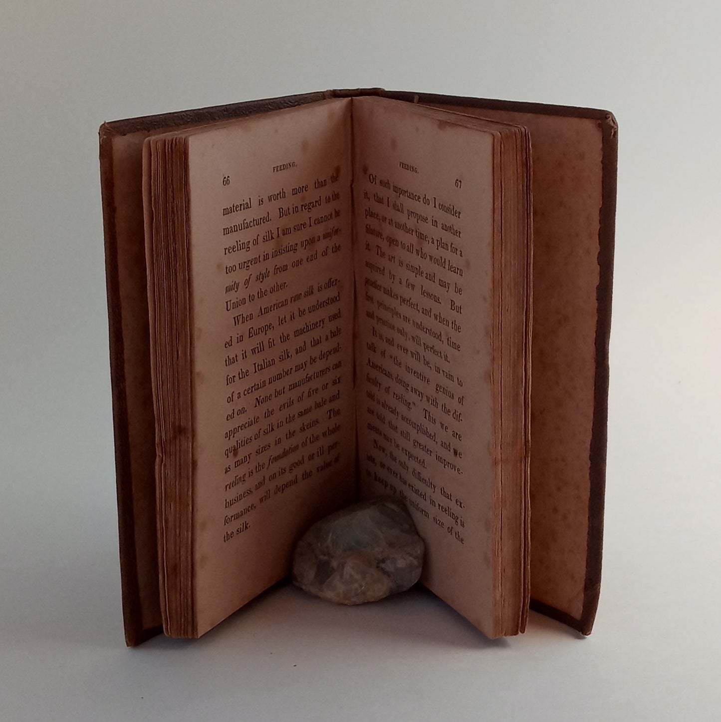 Eight Years Experience and Observation in the Culture of the Mulberry Tree, and in the Care of the Silk Worm. With remarks adapted to the American system of producing raw silk for exportation. book cover
