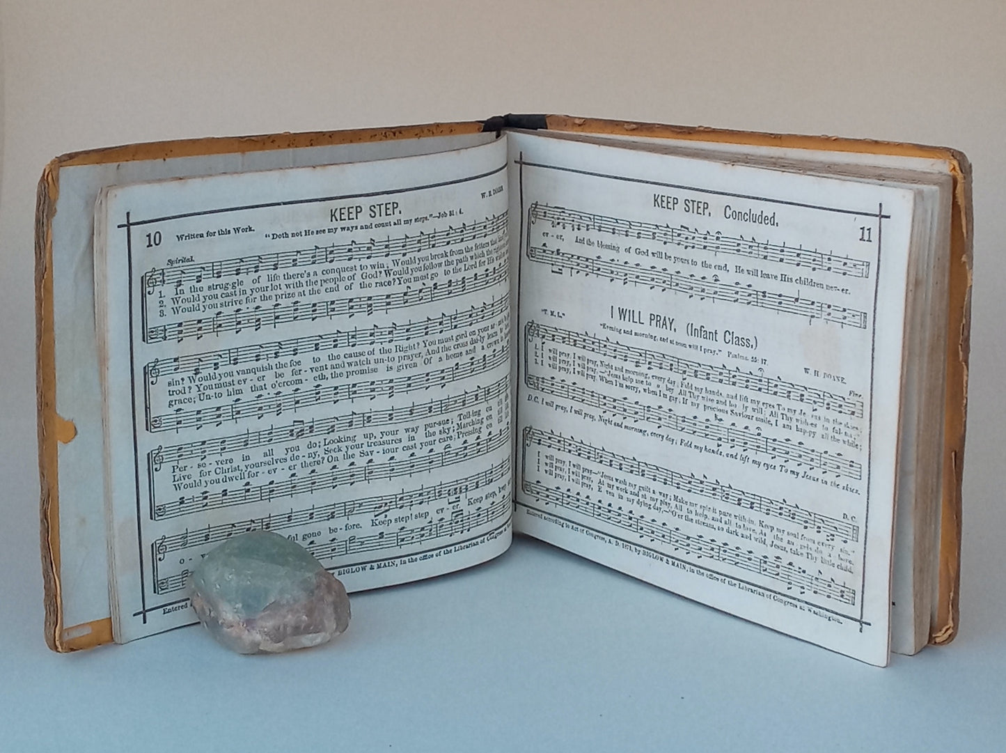 Pure Gold for the Sunday School. A New Collection of Songs. Prepared and Adapted for Sunday School Exercises. book cover
