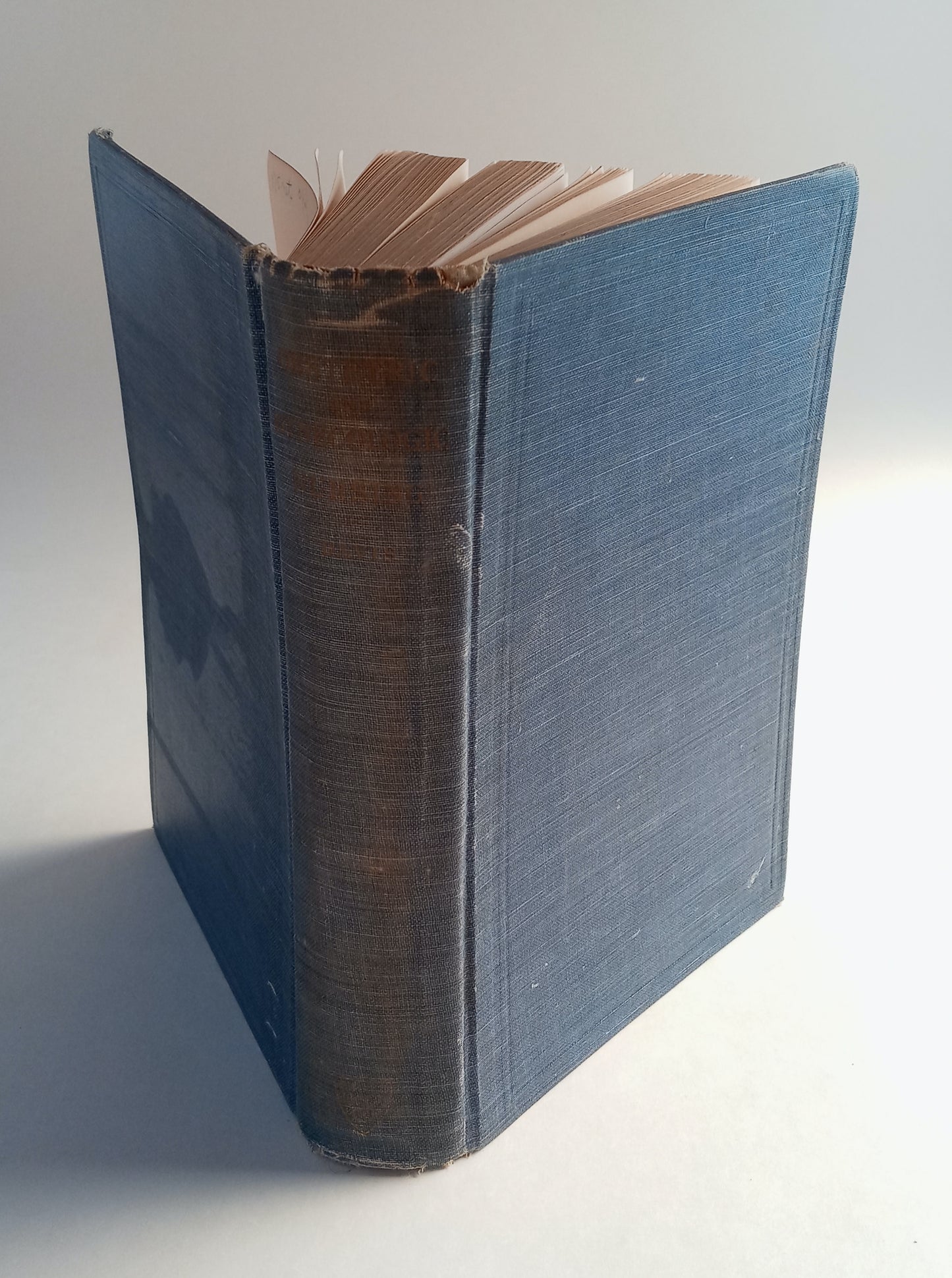 Obstetric and Gynecologic Nursing book cover