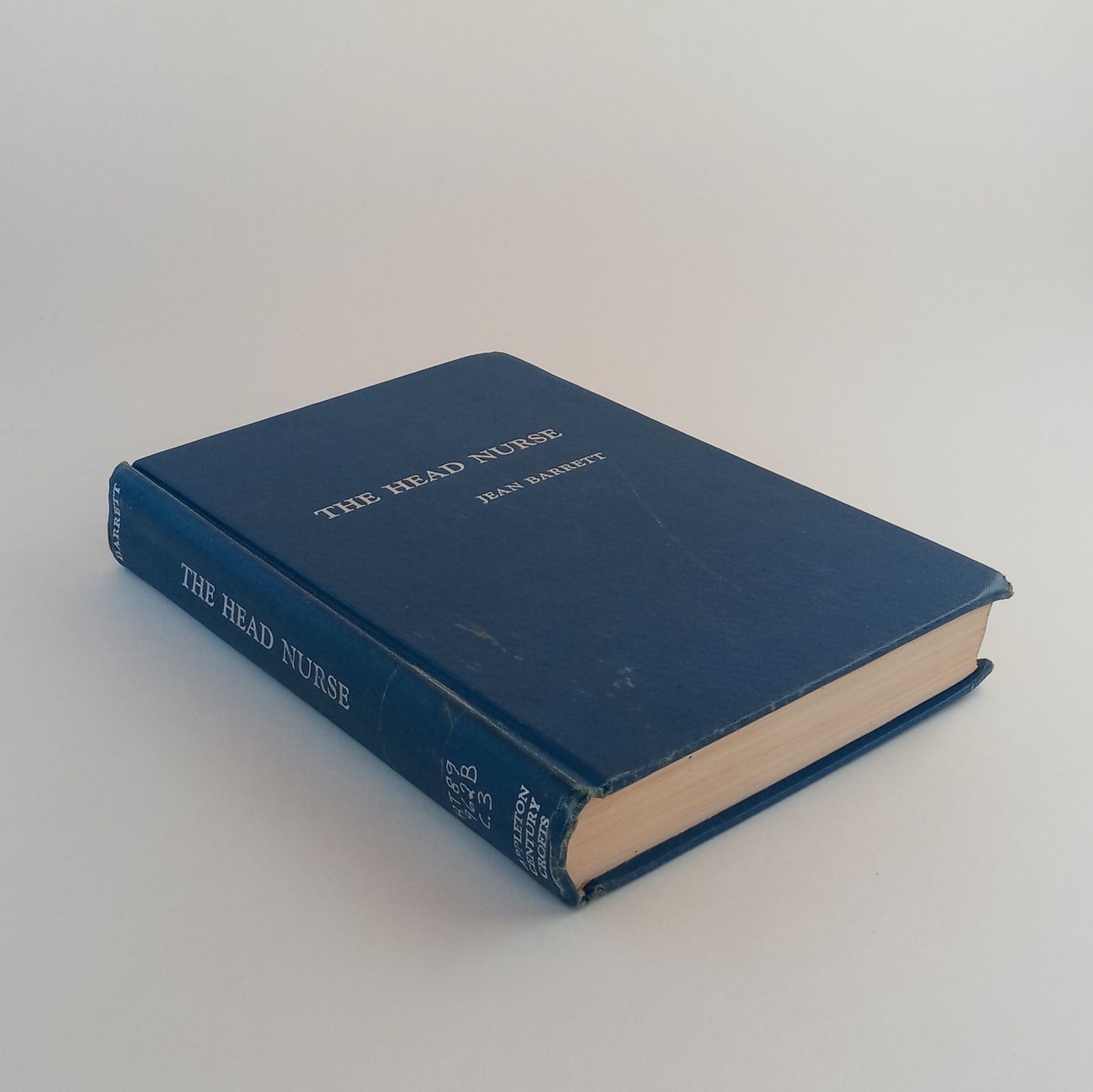 The Head Nurse book cover