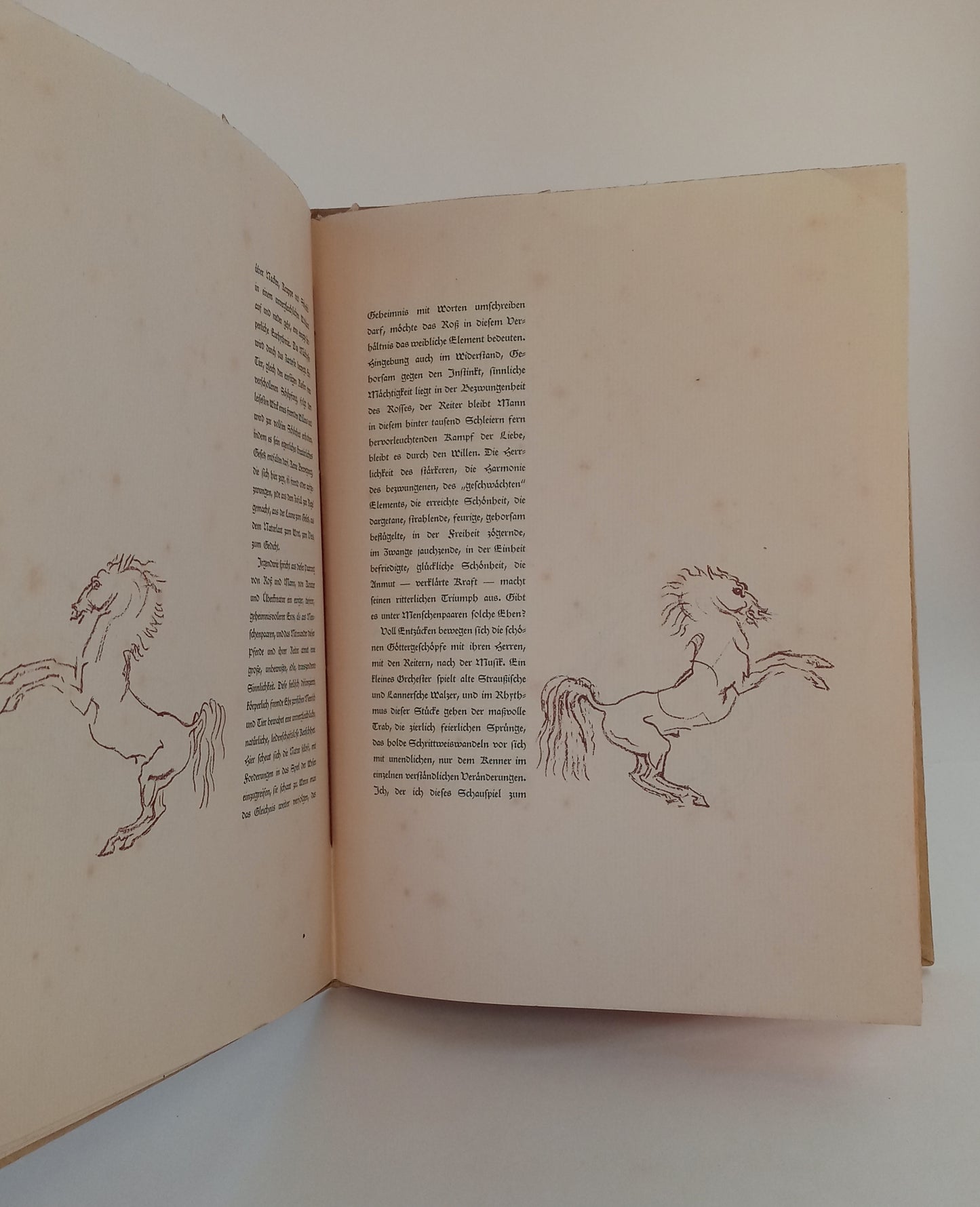 Spansiche Reitschule (Spanish Riding School) book cover