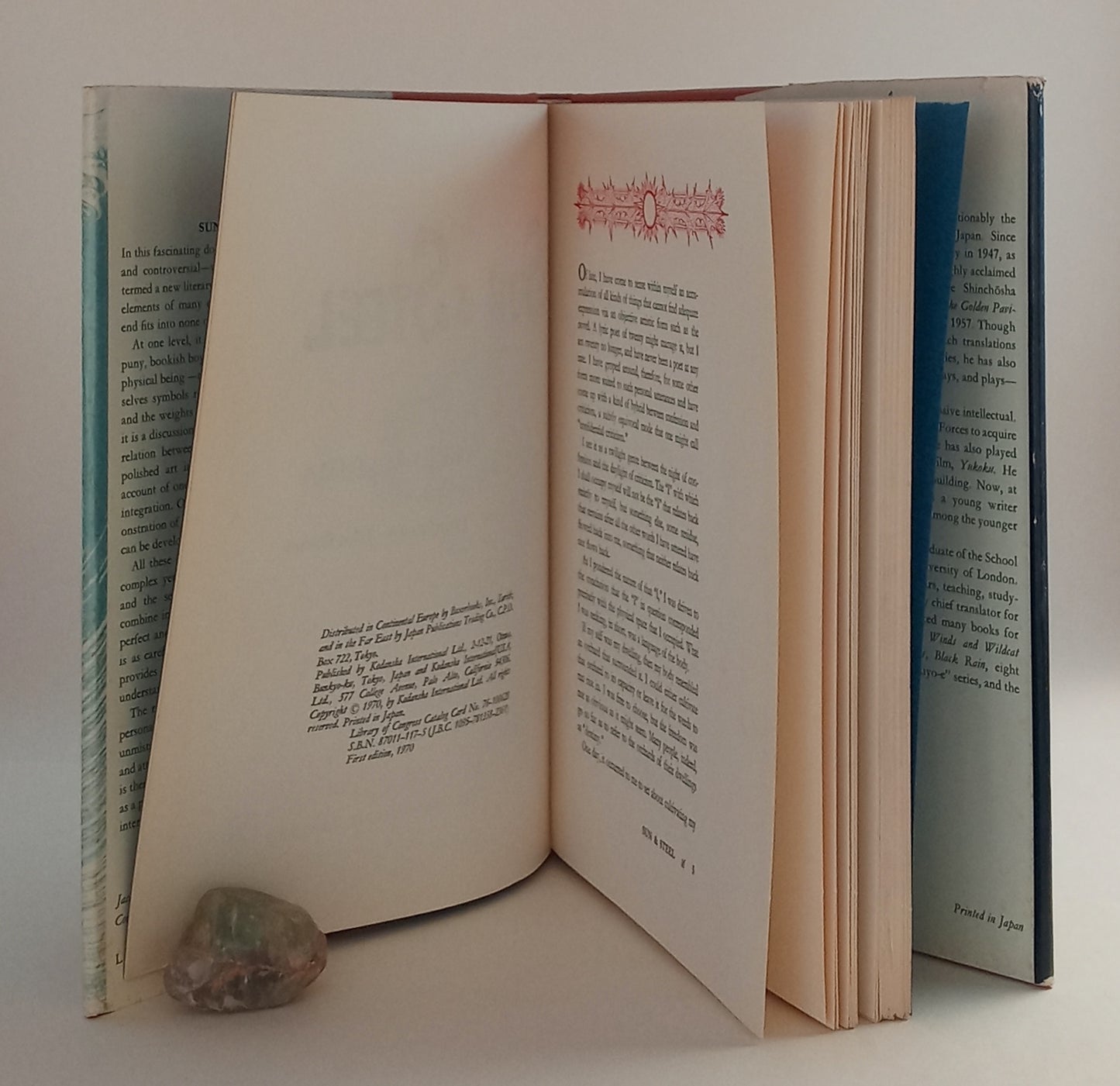 Sun & Steel book cover