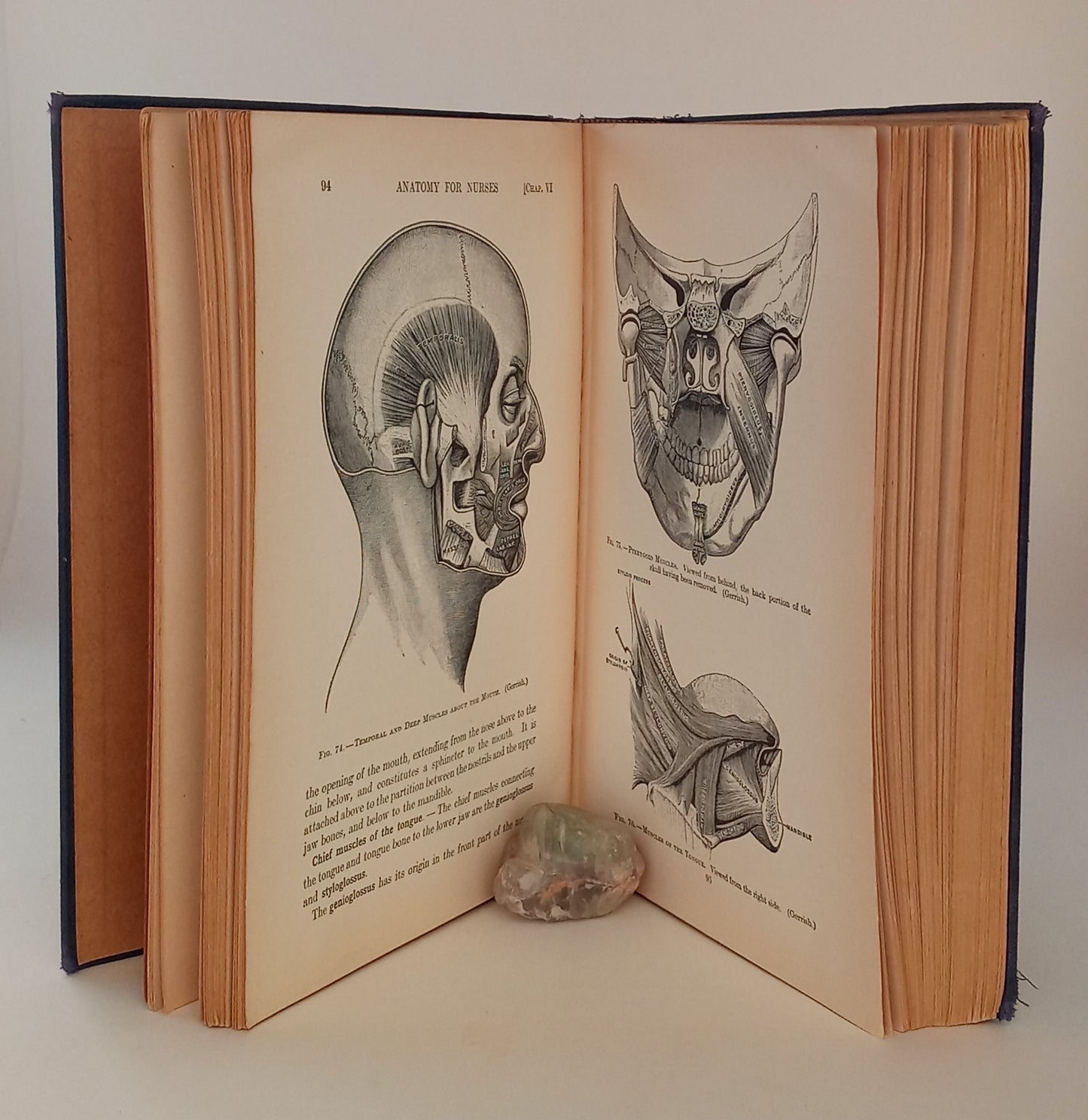 Text-Book of Anatomy and Physiology for Nurses book cover