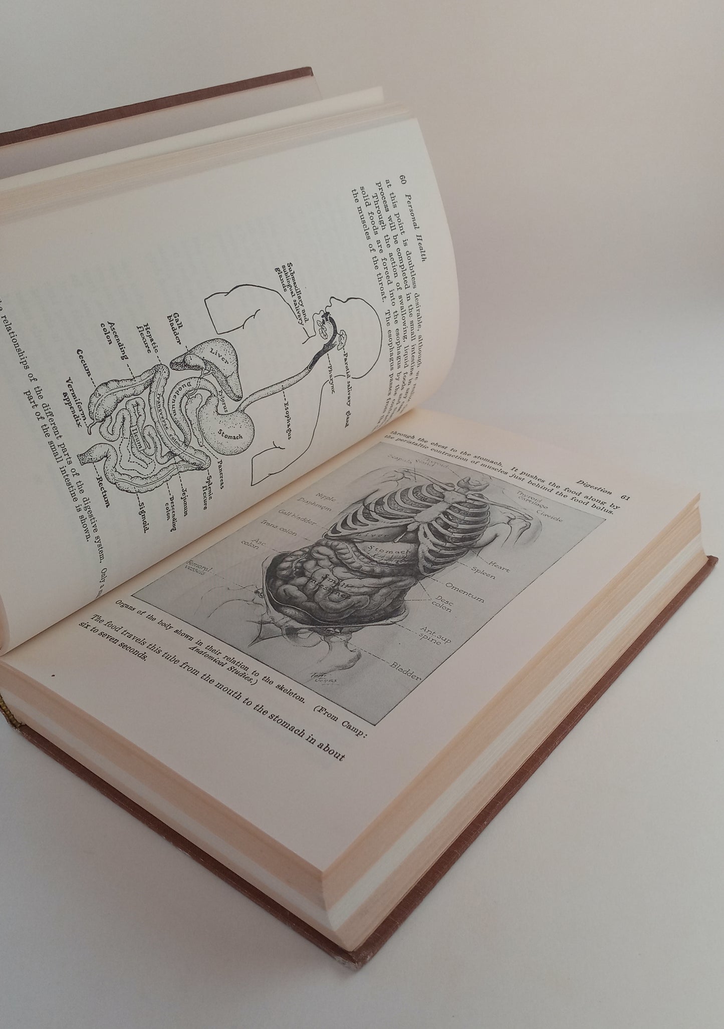 Personal and Community Health book cover