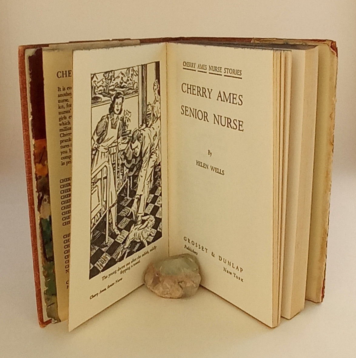 Cherry Ames, Senior Nurse book cover
