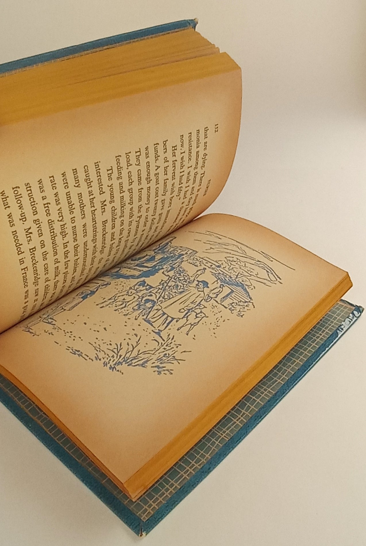 Nurses Who Led the Way book cover