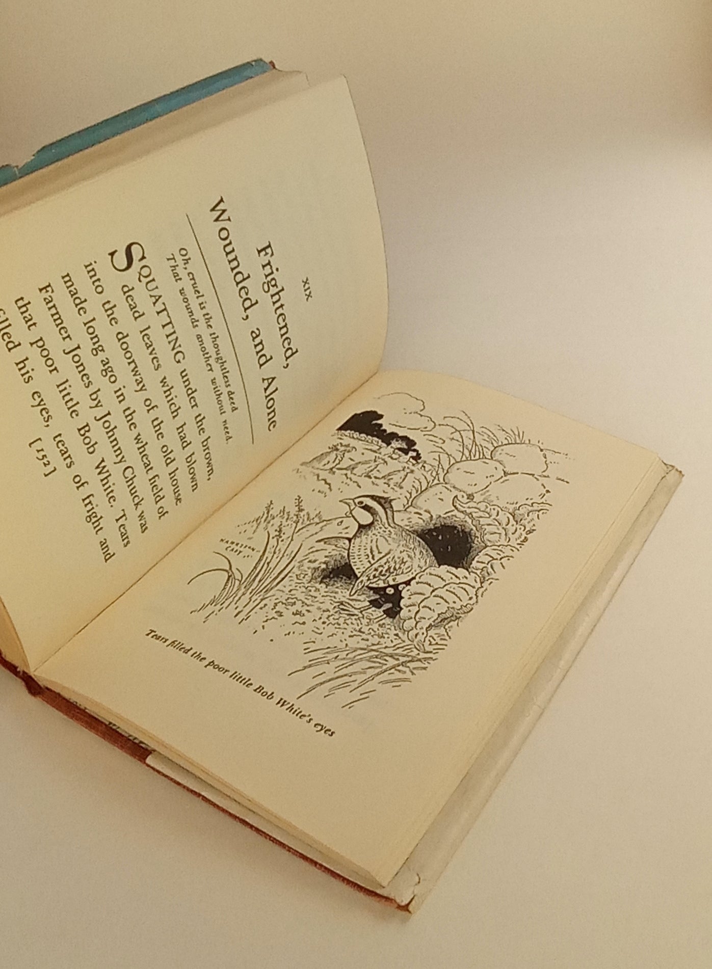 The Adventures of Bob White book cover