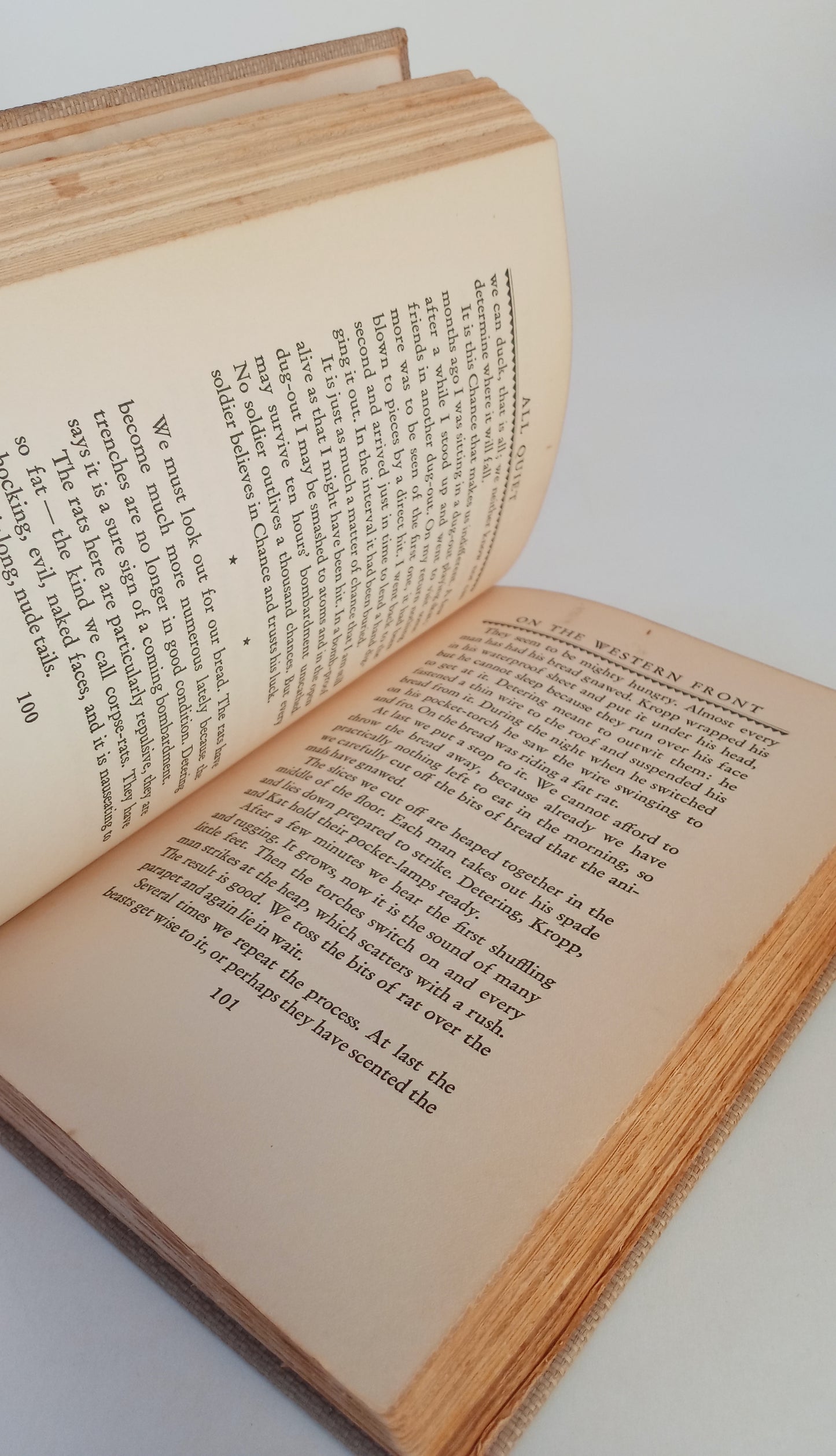 All Quiet on the Western Front book cover