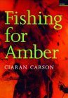 Fishing for Amber book cover