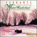 Winter Wonderland book cover
