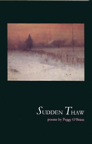 Sudden Thaw book cover