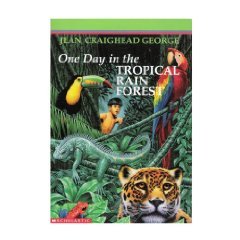 One Day in the Tropical Rain Forest book cover