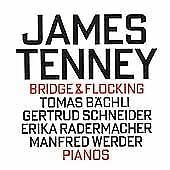 Bridge & Flocking book cover