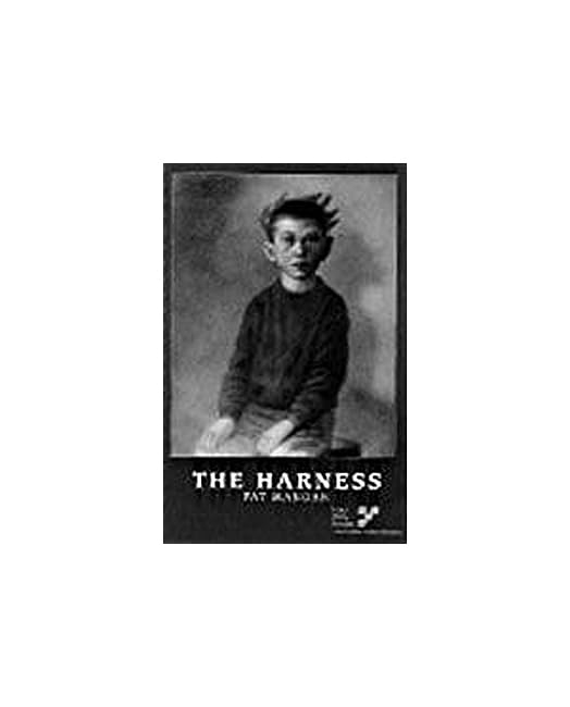 Harness book cover