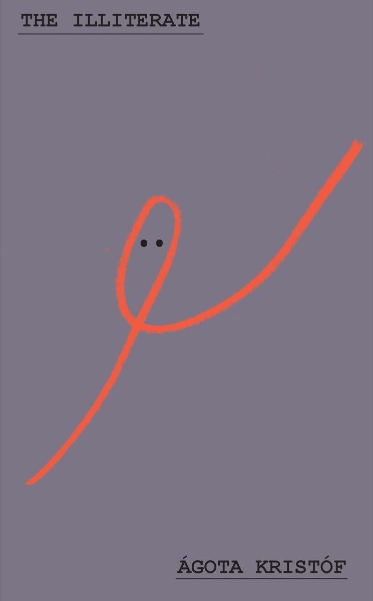 Illiterate book cover