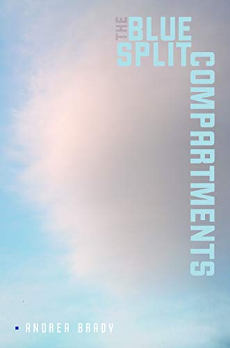 Blue Split Compartments book cover