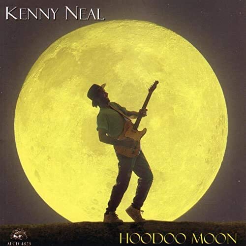 Hoodoo Moon book cover