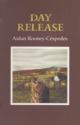 Day Release book cover