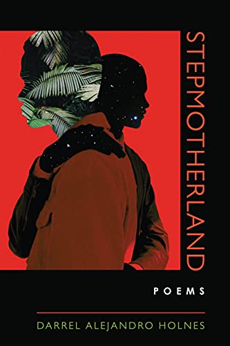 Stepmotherland book cover