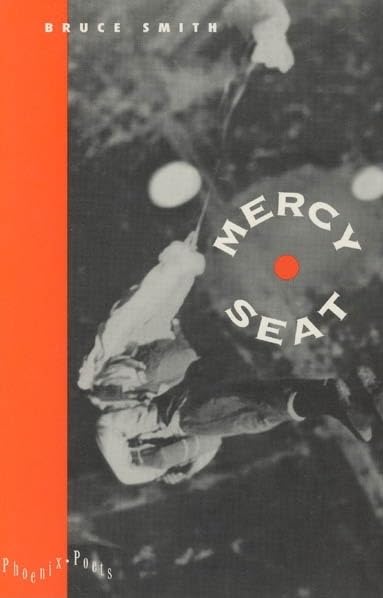 Mercy Seat book cover