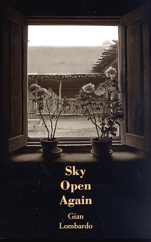 Sky Open Again book cover