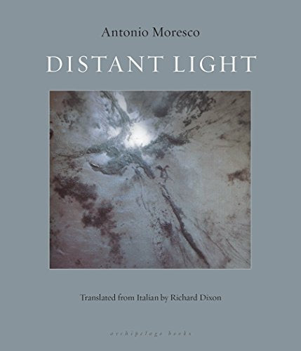 Distant Light book cover