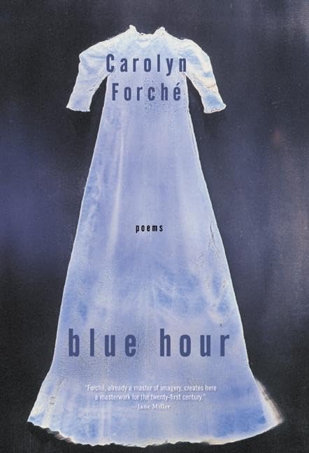 Blue Hour: Poems book cover