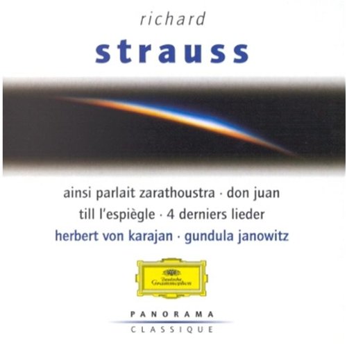 Panorama: Richard Strauss book cover