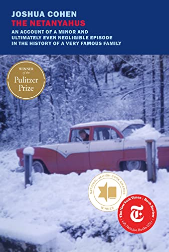 Netanyahus: An Account of a Minor and Ultimately Even Negligible Episode in the History of a Very Famous Family book cover