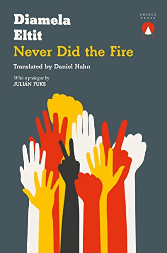 Never Did the Fire book cover