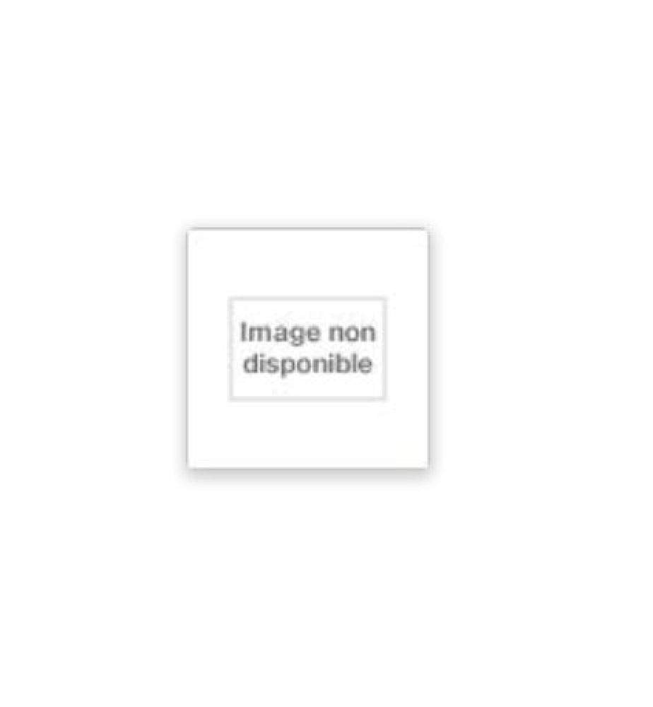 Culture of Fear: Why Americans Are Afraid of the Wrong Things book cover