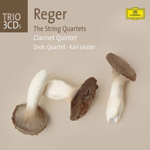 Reger: The String Quartets / Clarinet Quintet book cover