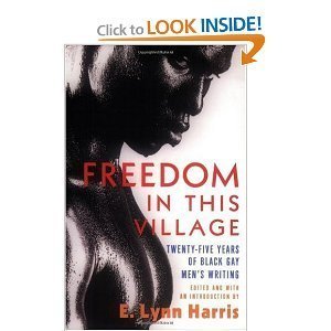 Freedom in This Village: Twenty-Five Years of Black Gay Men's Writing book cover