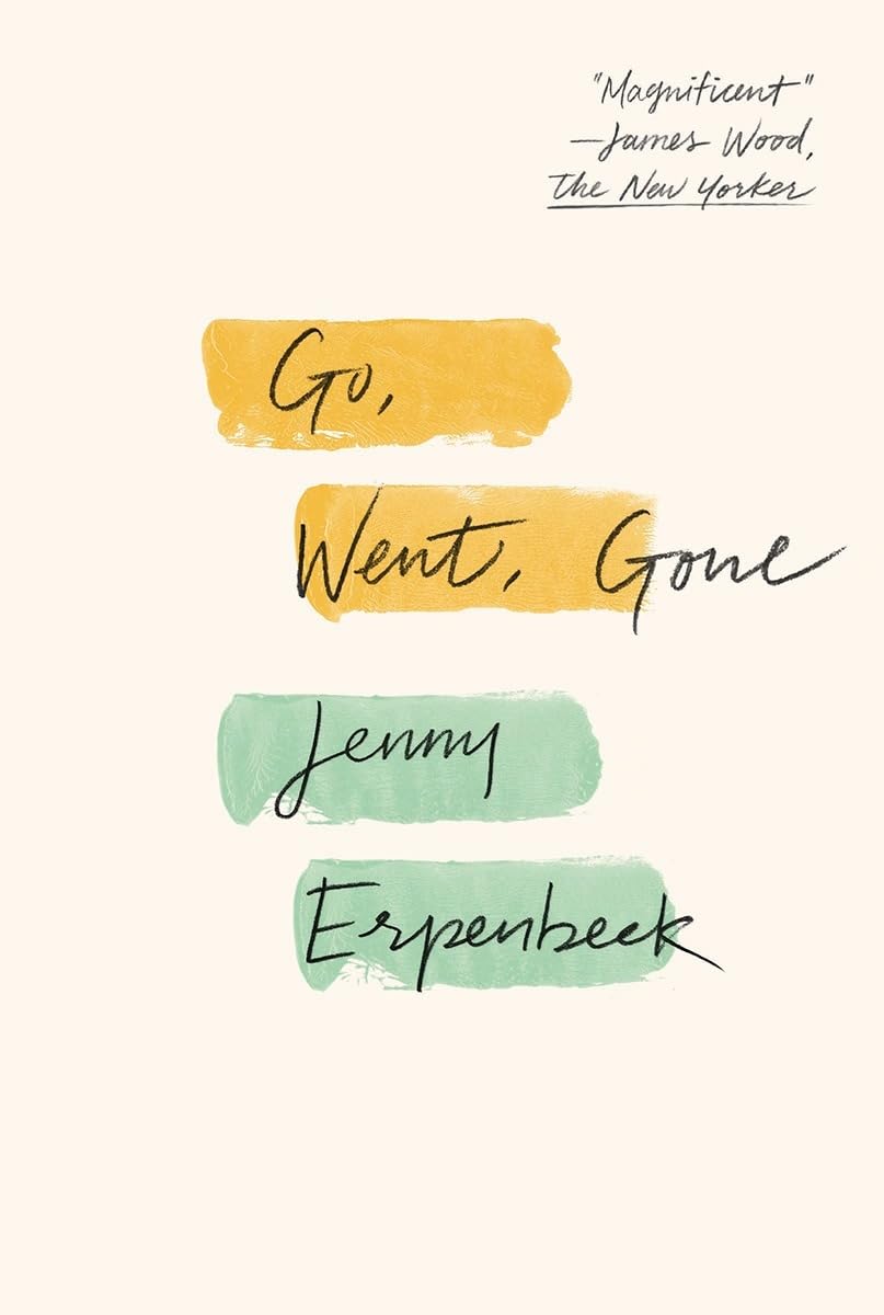 Go, Went, Gone book cover
