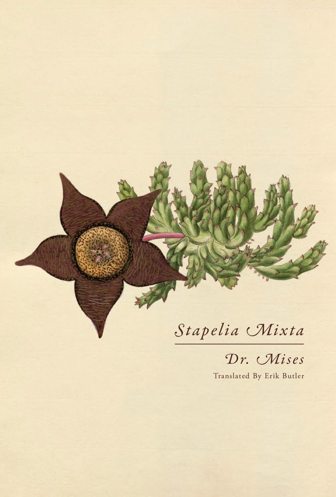 Stapelia Mixta book cover