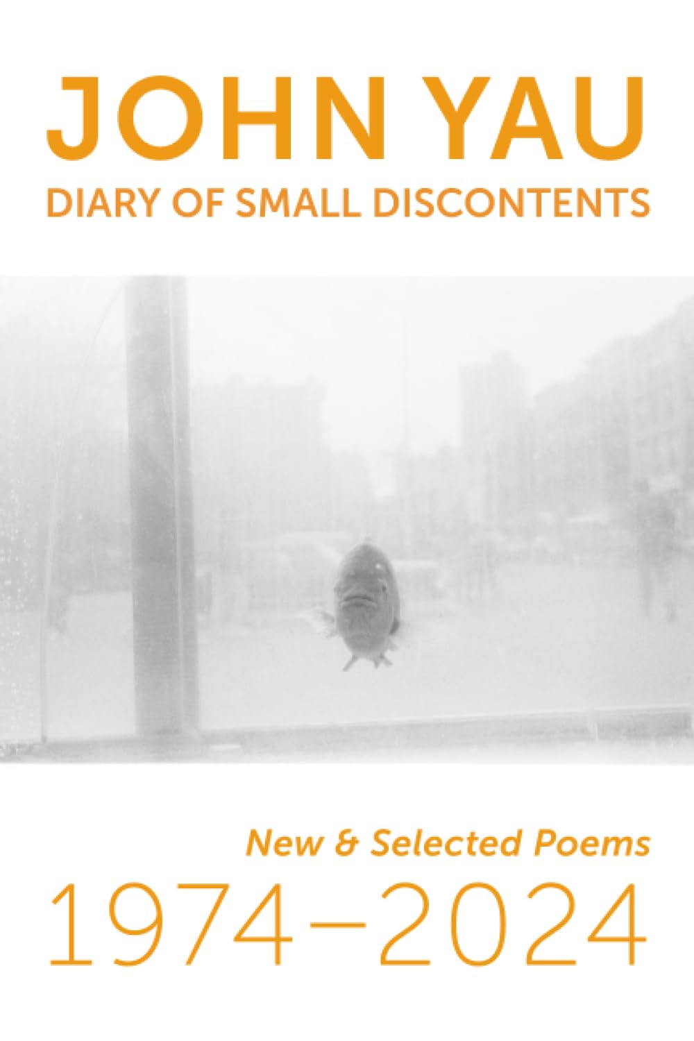 Diary of Small Discontents book cover