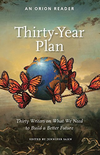 Thirty-Year Plan: Thirty Writers on What We Need to Build a Better Future book cover