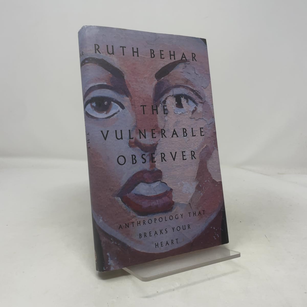 Vulnerable Observer book cover