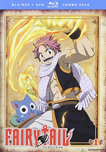 Fairy Tail: Part 1 (DVD Included) – Roundabout Books