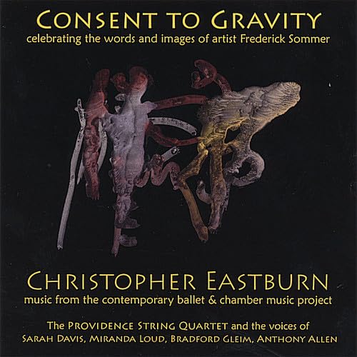 Conset to Gravity book cover