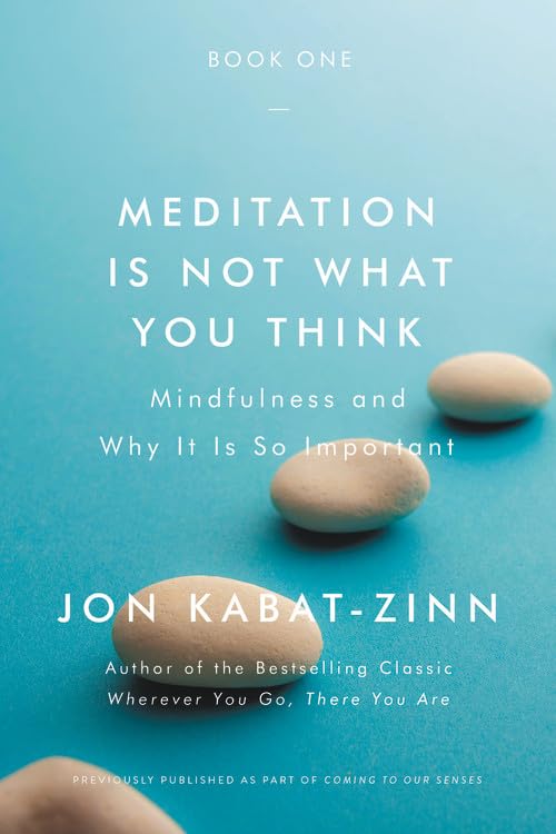 Meditation Is Not What You Think: Mindfulness and Why It Is So Important book cover
