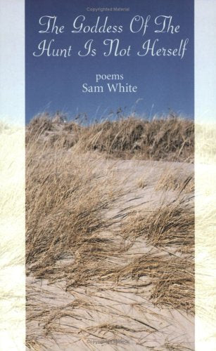 Goddess of the Hunt Is Not Herself book cover
