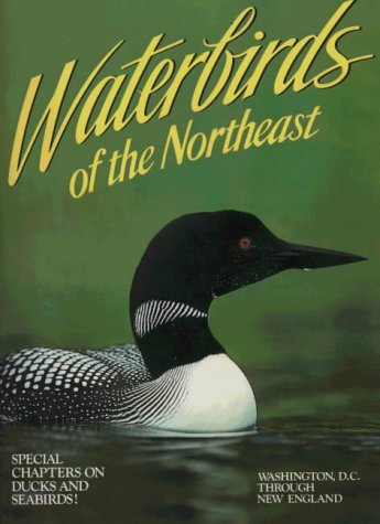 Waterbirds of the Northeast: Washington, D.C. Through New England book cover
