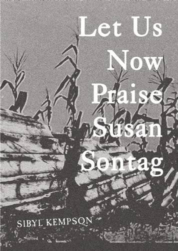 Let Us Now Praise Susan Sontag book cover